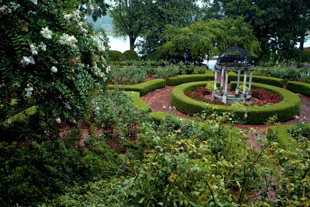 Furman-rose-garden