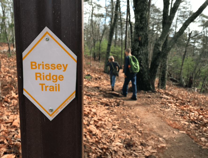 Brissy Ridge