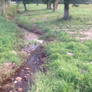 Reedy River near YMCA TR